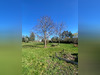 Ma-Cabane - Vente Maison FAY-AUX-LOGES, 187 m²