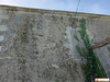 Ma-Cabane - Vente Maison Faymoreau, 120 m²