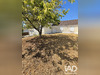 Ma-Cabane - Vente Maison Festigny, 73 m²