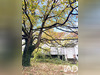 Ma-Cabane - Vente Maison Feuillères, 174 m²