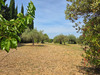 Ma-Cabane - Vente Maison FLAYOSC, 130 m²