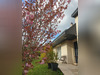 Ma-Cabane - Vente Maison FONDETTES, 169 m²