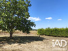 Ma-Cabane - Vente Maison Fontaines-d'Ozillac, 108 m²
