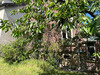 Ma-Cabane - Vente Maison FONTENAY-SOUS-BOIS, 83 m²