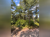 Ma-Cabane - Vente Maison FORCALQUEIRET, 80 m²