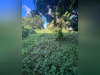 Ma-Cabane - Vente Maison Fort-de-France, 128 m²