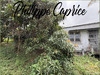 Ma-Cabane - Vente Maison FORT DE FRANCE, 90 m²