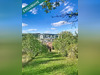 Ma-Cabane - Vente Maison Frouard, 100 m²