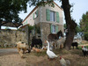 Ma-Cabane - Vente Maison GABILLOU, 394 m²