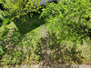 Ma-Cabane - Vente Maison GAGNY, 85 m²