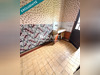 Ma-Cabane - Vente Maison Gaudiempre, 68 m²