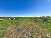 Ma-Cabane - Vente Maison GENERAC, 390 m²