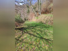 Ma-Cabane - Vente Maison GERMS SUR L OUSSOUET, 40 m²