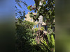 Ma-Cabane - Vente Maison Ginestas, 260 m²