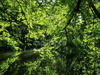 Ma-Cabane - Vente Maison GIRY, 0 m²