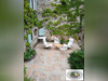 Ma-Cabane - Vente Maison Goudargues, 169 m²