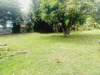 Ma-Cabane - Vente Maison GOYAVE, 244 m²