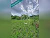 Ma-Cabane - Vente Maison Graffigny-Chemin, 141 m²