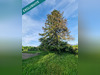 Ma-Cabane - Vente Maison Granges-les-Beaumont, 185 m²