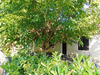 Ma-Cabane - Vente Maison Graulhet, 95 m²