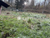Ma-Cabane - Vente Maison Griesbach-Au-Val, 85 m²