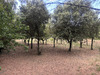Ma-Cabane - Vente Maison Grignan, 185 m²