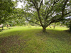 Ma-Cabane - Vente Maison Groix, 120 m²