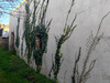Ma-Cabane - Vente Maison GROIX, 31 m²