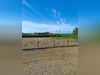 Ma-Cabane - Vente Maison GROIX, 81 m²
