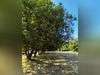 Ma-Cabane - Vente Maison Groix, 73 m²