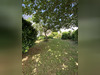 Ma-Cabane - Vente Maison Groix, 130 m²