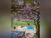 Ma-Cabane - Vente Maison Guéreins, 128 m²