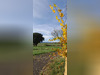 Ma-Cabane - Vente Maison Guizerix, 130 m²