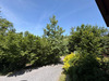 Ma-Cabane - Vente Maison Habère-Poche, 151 m²