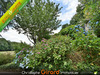 Ma-Cabane - Vente Maison HEDE-BAZOUGES, 62 m²