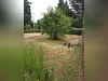 Ma-Cabane - Vente Maison HENNEBONT, 111 m²