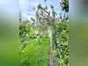 Ma-Cabane - Vente Maison Hondschoote, 185 m²