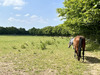 Ma-Cabane - Vente Maison Honfleur, 500 m²