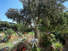 Ma-Cabane - Vente Maison Hyères, 160 m²