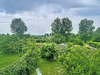 Ma-Cabane - Vente Maison ILE-D'ARZ, 87 m²