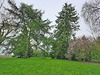 Ma-Cabane - Vente Maison ILLIERS-COMBRAY, 130 m²