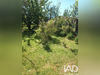 Ma-Cabane - Vente Maison Illiers-Combray, 64 m²