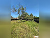 Ma-Cabane - Vente Maison Imphy, 65 m²