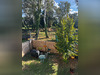 Ma-Cabane - Vente Maison ISTRES, 86 m²