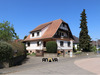 Ma-Cabane - Vente Maison Ittenheim, 212 m²