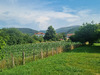 Ma-Cabane - Vente Maison Itxassou, 153 m²