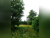Ma-Cabane - Vente Maison JARGEAU, 108 m²