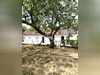 Ma-Cabane - Vente Maison Jumilhac-le-Grand, 120 m²