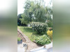 Ma-Cabane - Vente Maison L' Isle-d'Espagnac, 115 m²