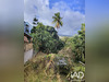 Ma-Cabane - Vente Maison L'Étang-Salé, 100 m²
